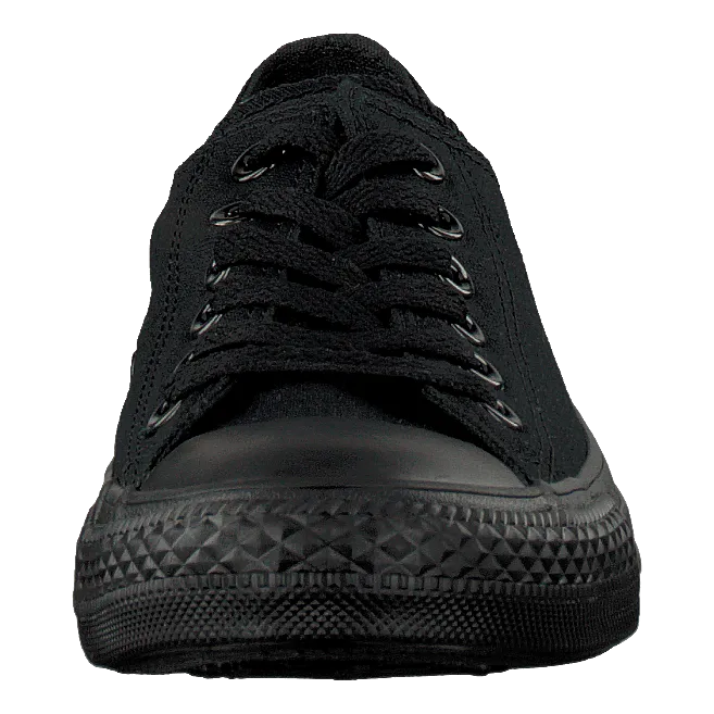 All Star Canvas Ox