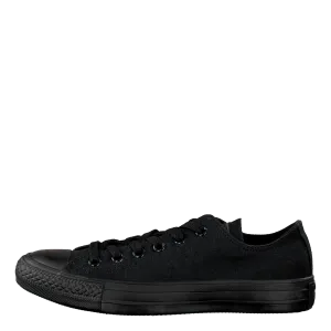 All Star Canvas Ox